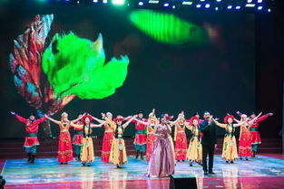 圍場伊遜社區(qū)成功舉辦 ‘貫徹十九大 黨群共建和諧社區(qū) 迎新春文藝匯演’