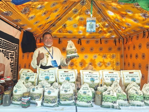 熱貢文化耀拉薩，青藏?cái)y手譜新篇——熱貢文化推介會(huì)暨文藝演出在拉薩成功舉辦